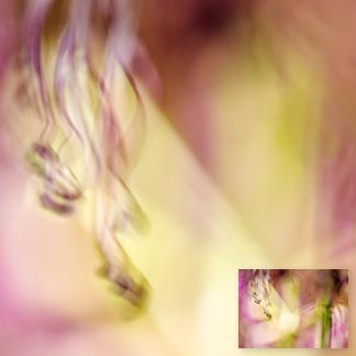 Abstraktes Blumenbild in pink und grasgrünen Tönen