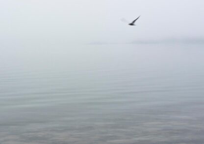 Im Nebel angedeutetes Meer und Inseln mit einem Vogel, der die Szenerie überfliegt